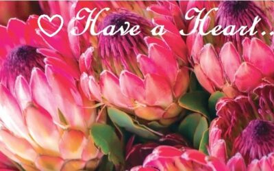 Spring Newsletter 2021