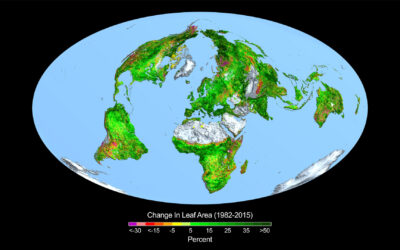 Global warming due to, ehhh…., Global greening!